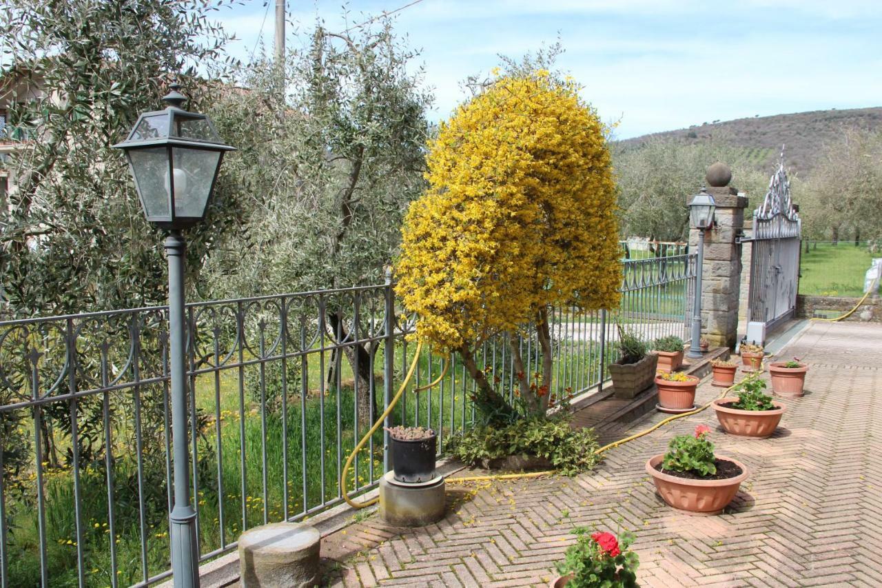 Гостевой дом Le Coccole Del Trasimeno Туоро-суль-Тразимено Экстерьер фото