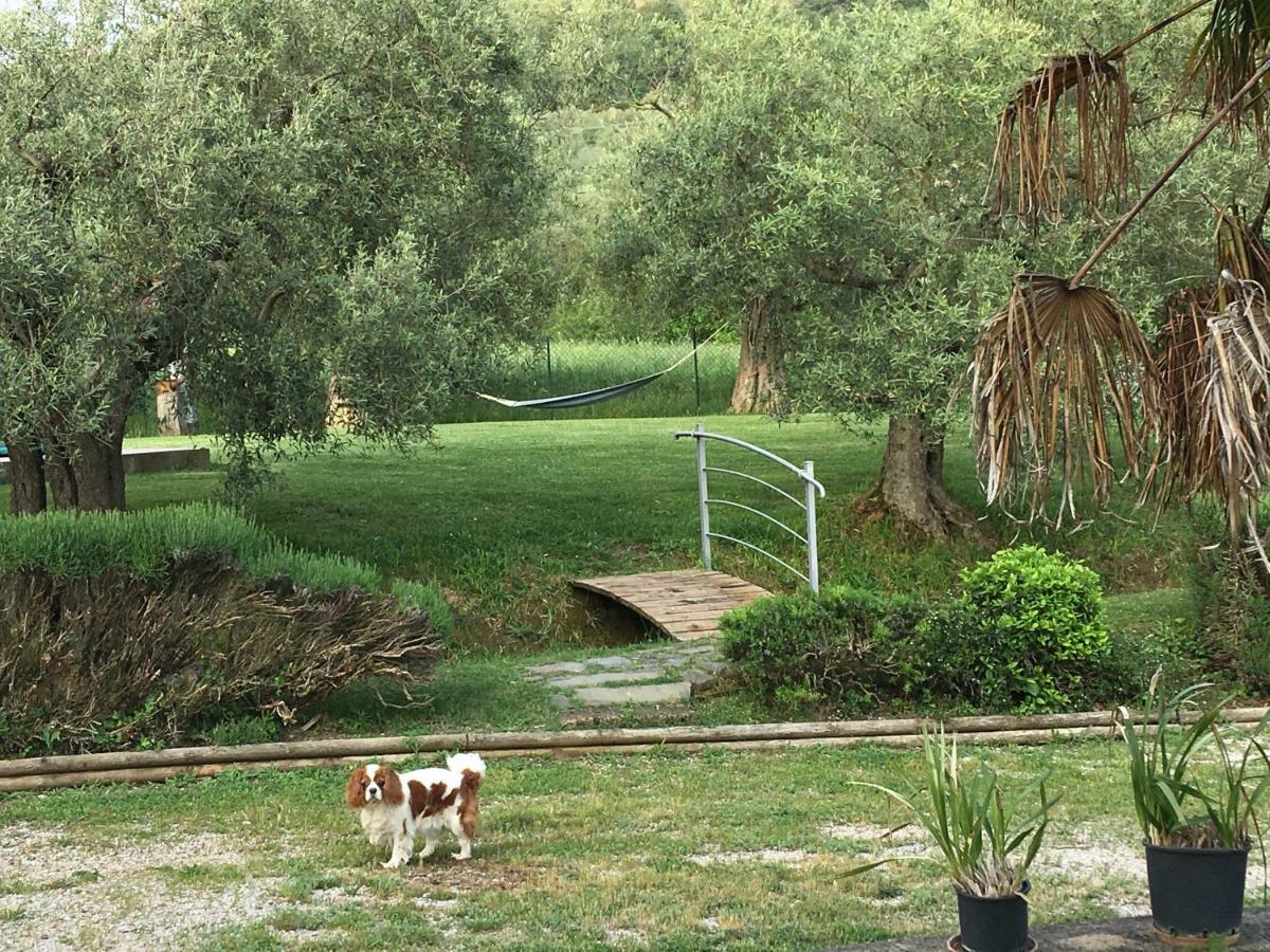 Гостевой дом Le Coccole Del Trasimeno Туоро-суль-Тразимено Экстерьер фото